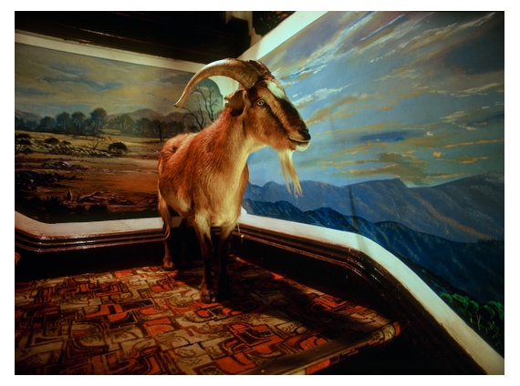 New Moving Image Works | Exhibitions | MutualArt