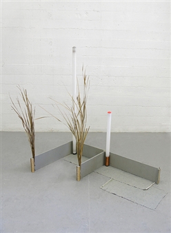Ian Pedigo - Galerie Carlos Cardenas