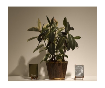 If I do what you tell me will you love me? - Iris Project