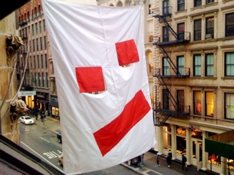 Peter Regli: Flag - Swiss Institute