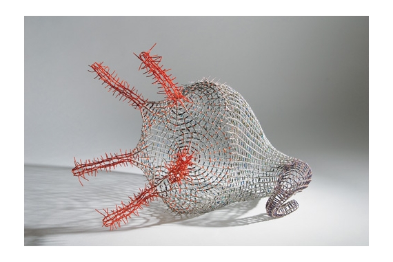 Marina Schreiber - Koralline Mantelzellen - Galerie Epikur