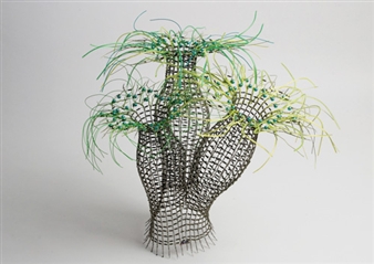 Marina Schreiber - Koralline Mantelzellen - Galerie Epikur
