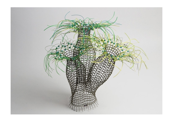 Marina Schreiber - Koralline Mantelzellen - Galerie Epikur