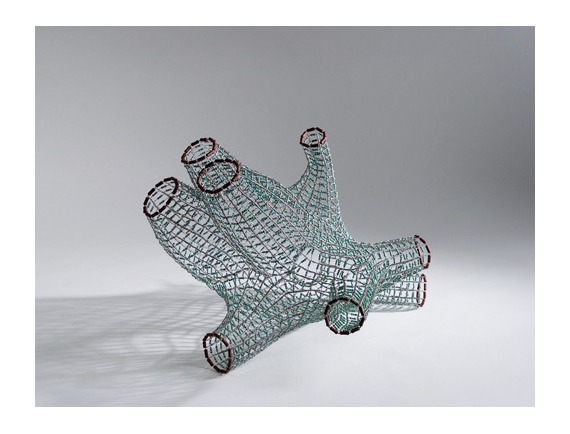 Marina Schreiber - Koralline Mantelzellen - Galerie Epikur