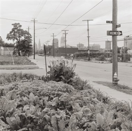 Gregory Conniff (American, 1944)