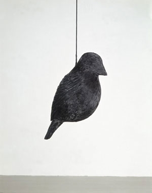 Artwork by Edward Lipski, Bird, Made of glasvezel, veders en touw