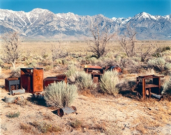 Apple Orchard, Manzanar Japanese-American Relocation Camp, Owens Valley, California - Beahan & McPhee