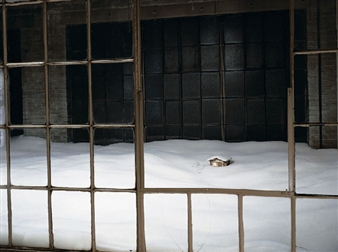 Cabin in the Snow - Liz Magor