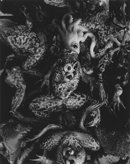 Frogs and Cuttlefish - Michiko Kon