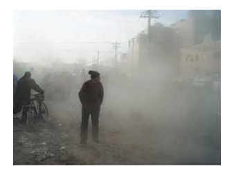 Electromediascope Spring 2009: Ear To The Ground: Art, Politics And Life - The Nelson-Atkins Museum of Art