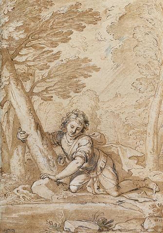 Artwork by Bernardo Castello, Narcissus, Made of Pen and ink and wash heightened with white