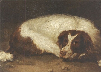 A sporting dog lying down - Johann Christoph Rincklake