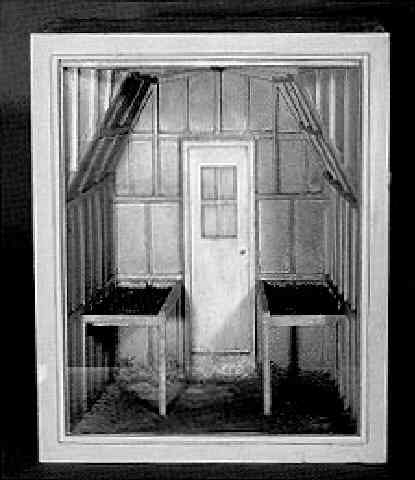 Artwork by Michael Sauer, Gewächshaus, Made of Wood handcolored,, soil & glass front