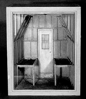 Gewächshaus - Michael Sauer