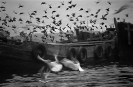 Ara Güler (Turkish, 1928 - 2018)
