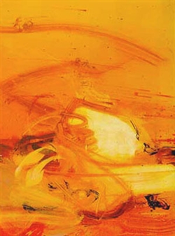 Die Glut I - Darko Lesjak