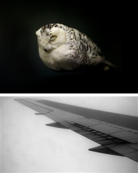 Voshardt/Humphrey, Double Bind / Double Blind - Greene Contemporary