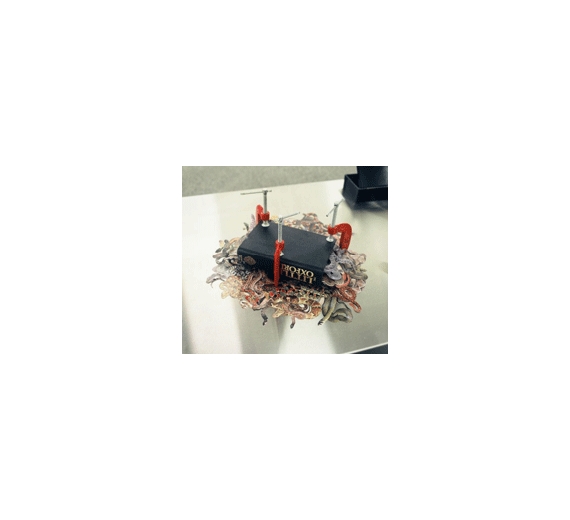 Joanna Langford, Peter Madden and Rohan Wealleans, Curated by Emily Cormack - Gertrude Contemporary