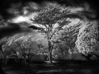 Mitch Dobrowner: The Still Earth - John Cleary Gallery
