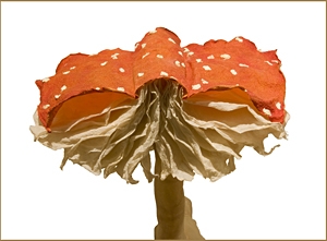 The Leaf And The Page - Springfield Gallery, Illinois State Museum