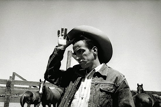 Montgomery Clift The Misfits