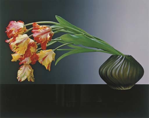 Parrot Tulips by Robert Mapplethorpe, 1988