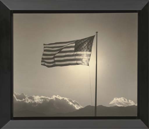 Artwork by Robert Mapplethorpe, American Flag, Made of platinum print on linen