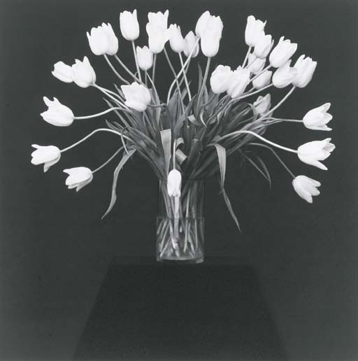 Vase with White Tulips, 1988 by Robert Mapplethorpe, 1988