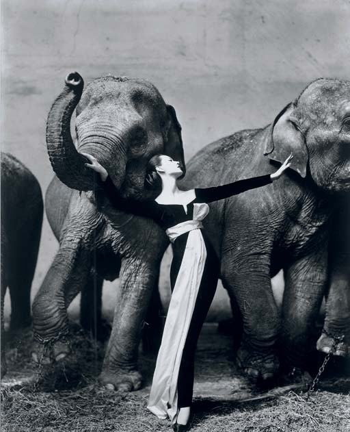 Dovima with Elephants, Evening Dress By Dior, Cirque d'hiver, Paris