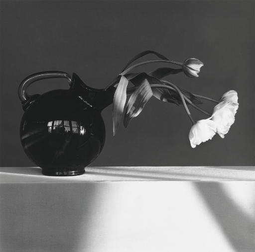Robert Mapplethorpe | Tulip (1982) | MutualArt