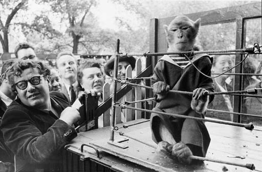 Les Animaux Superieurs by Robert Doisneau, 1951