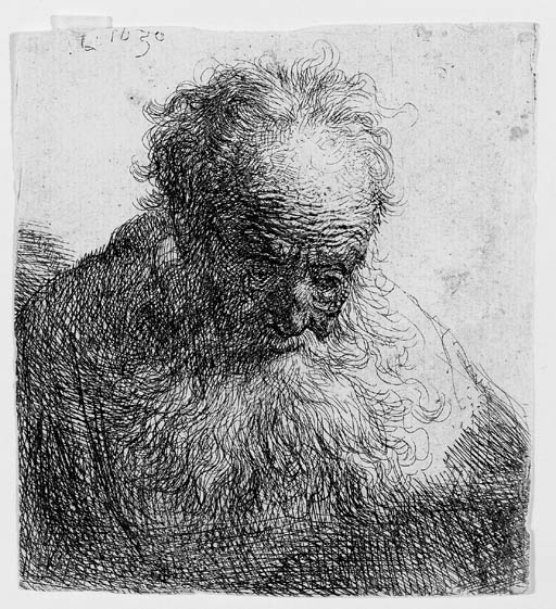 Rembrandt van Rijn | Bust of an old Man with a flowing Beard: The Head ...