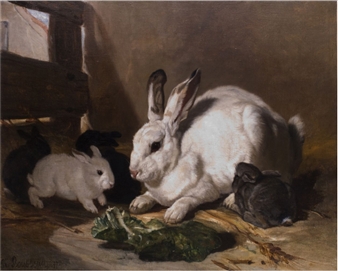 HASE MIT JUNGEN - Philippe Rousseau