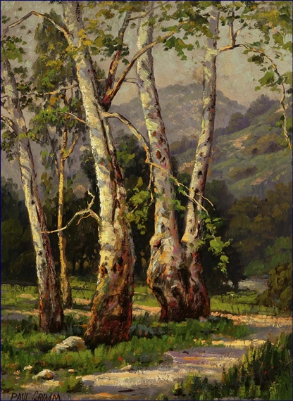 Sunlight on a eucalyptus grove by Paul Grimm