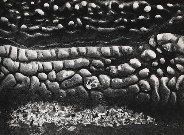 Artwork by Wynn Bullock, Rocks, Made of Gelatin silver print