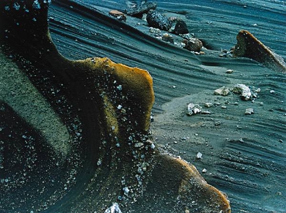 Consolidated Ash, Iceland by Eliot Porter, 1972