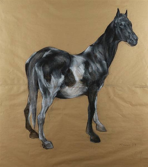 Untitled (Black and White Horse) by Nicola Hicks