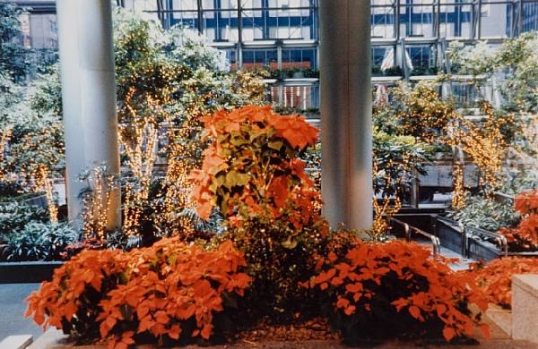 Artwork by Dan Graham, Chem-core Corporate Atrium Planting, Made of color photo (unique print)