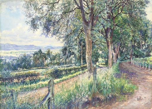 Near Mill Hill, Rossie Priory, Perthshire