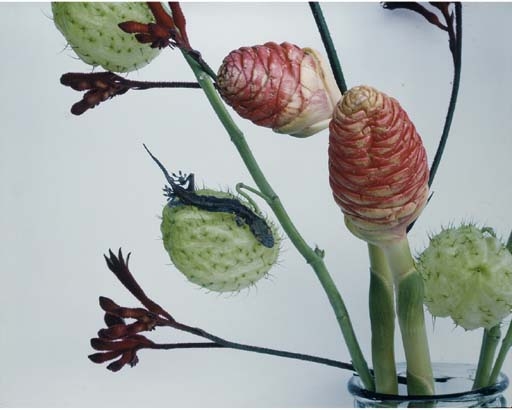Flowers by Nobuyoshi Araki, circa 1997