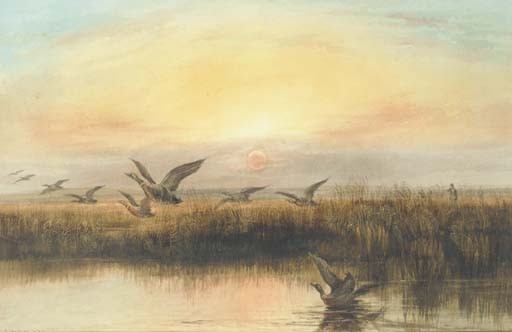 Duck flighting at dusk