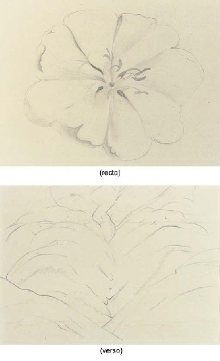 Untitled (Flower); and Untitled (Black Valley): A Double-Sided Drawing by Georgia O'Keeffe, circa 1938, circa 1944-1945