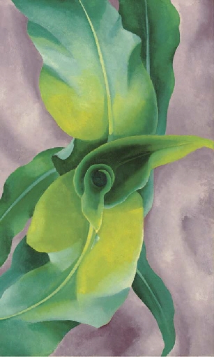 Corn No. III by Georgia O'Keeffe, 1924