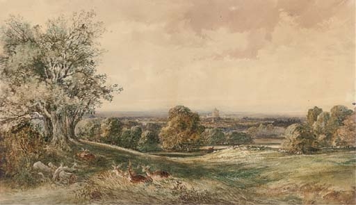 William Bennett | Deer resting in Windsor Great Park | MutualArt