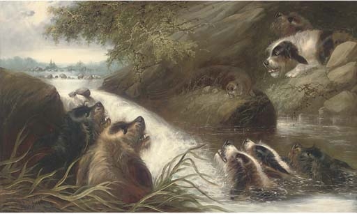 The cornered otter by Edward Armfield