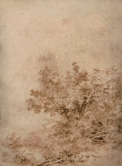 A wooded landscape with a boy hiding among undergrowth by Jean-Honoré Fragonard