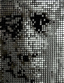 Peter Keetman (German, 1916 - 2005)