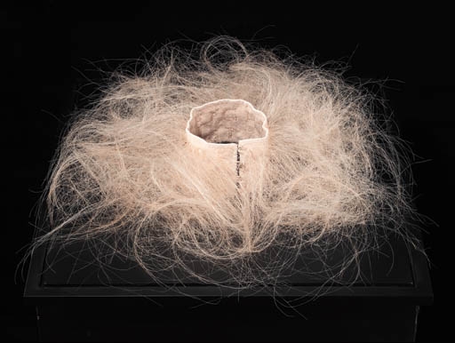 Ann Hamilton | Untitled (The Body Object Series) #4 | MutualArt