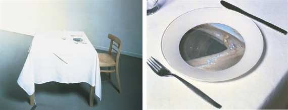 Deep Throat by Mona Hatoum, 1996