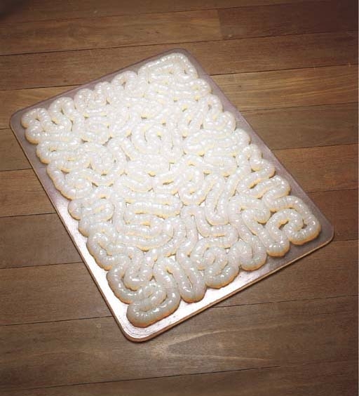 Rubber Mat by Mona Hatoum, 1996